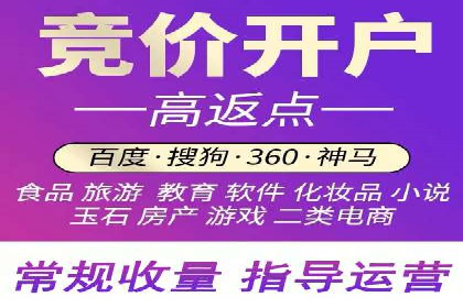 成功运用SEM技术提升网站流量的案例研究
